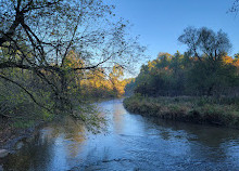 Lions Valley Park