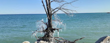 Tommy Thompson Park Naturzentrum