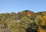 Lower Don Recreation Trail