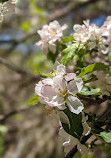 Lower Don Recreation Trail