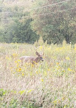 Lower Don Recreation Trail