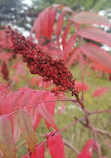 Upper Don Recreation Trail