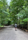 Beltline Trail