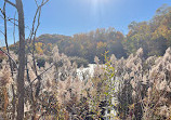 Don Valley Brick Works Park