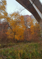 Don Valley Brick Works Park-uitkijkpunt