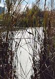 Don Valley Brick Works Park Lookout