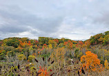 Evergreen Brick Works