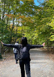 Evergreen Brick Works