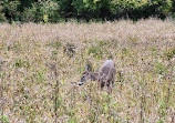 Don Valley Park