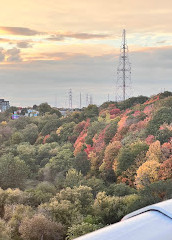 Parc Don Valley