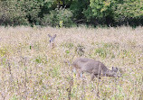 Don Valley Park