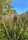 Don Valley Park