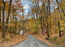 Parc Don Valley