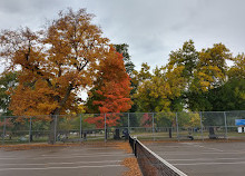 Trinity Bellwoods Park Tennis Courts