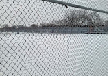 Trinity Bellwoods Park Tennis Courts