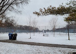 Trinity Bellwoods Park Tennis Courts