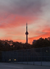 Trinity Bellwoods Park Tennis Courts