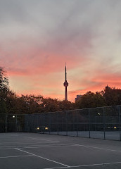 Trinity Bellwoods Park Tennis Courts