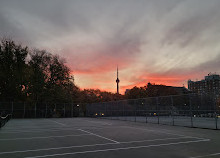 Trinity Bellwoods Park Tennis Courts