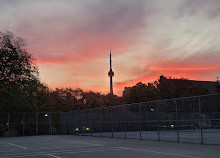 Trinity Bellwoods Park Tennis Courts