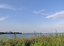 Whimbrel Point