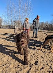 Jack Darling Dog Park