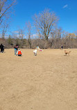 Jack Darling Dog Park