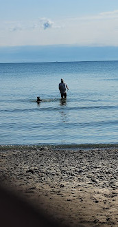 Parc à chiens Jack Darling