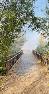 Parc à chiens Jack Darling