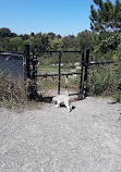 Jack Darling Dog Park