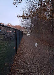 Quenippenon Meadows Community Park