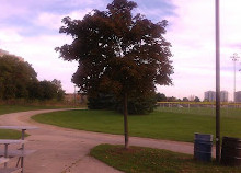 Quenippenon Meadows Community Park