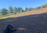 Dog Park