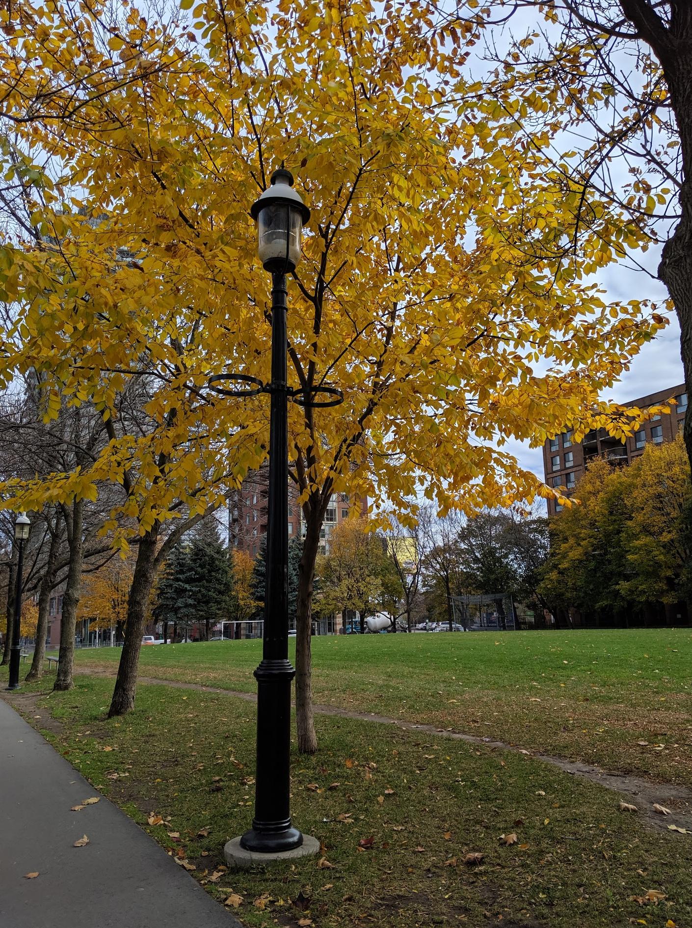 Parliament Square Park