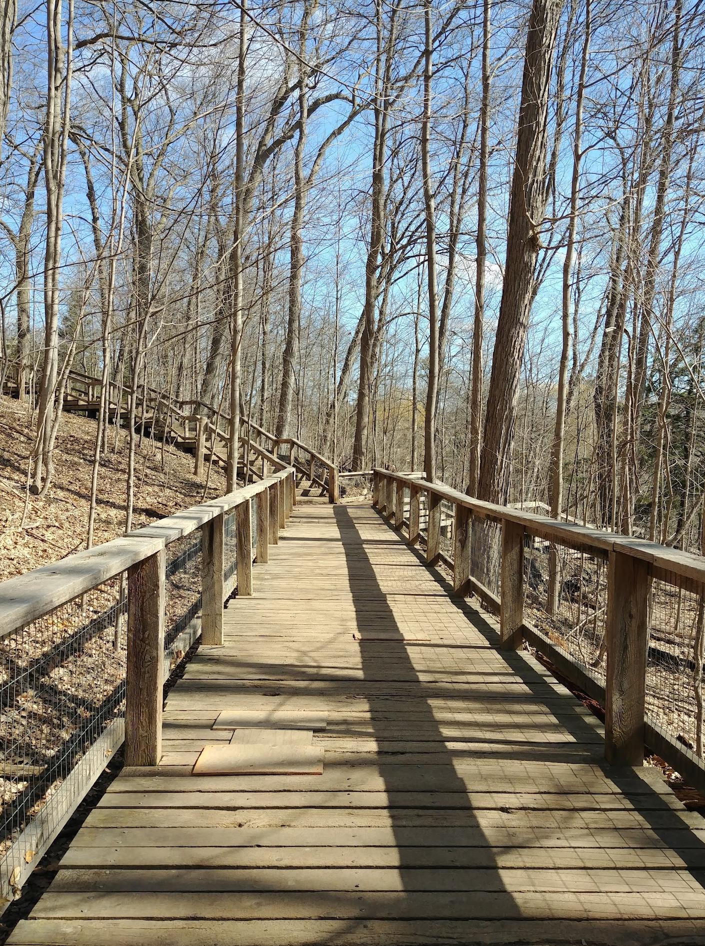 Sunnybrook Dog Park