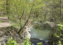 Sunnybrook Dog Park