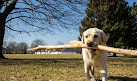 Sunnybrook Dog Park