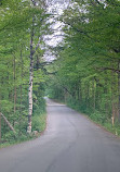 Sunnybrook Dog Park