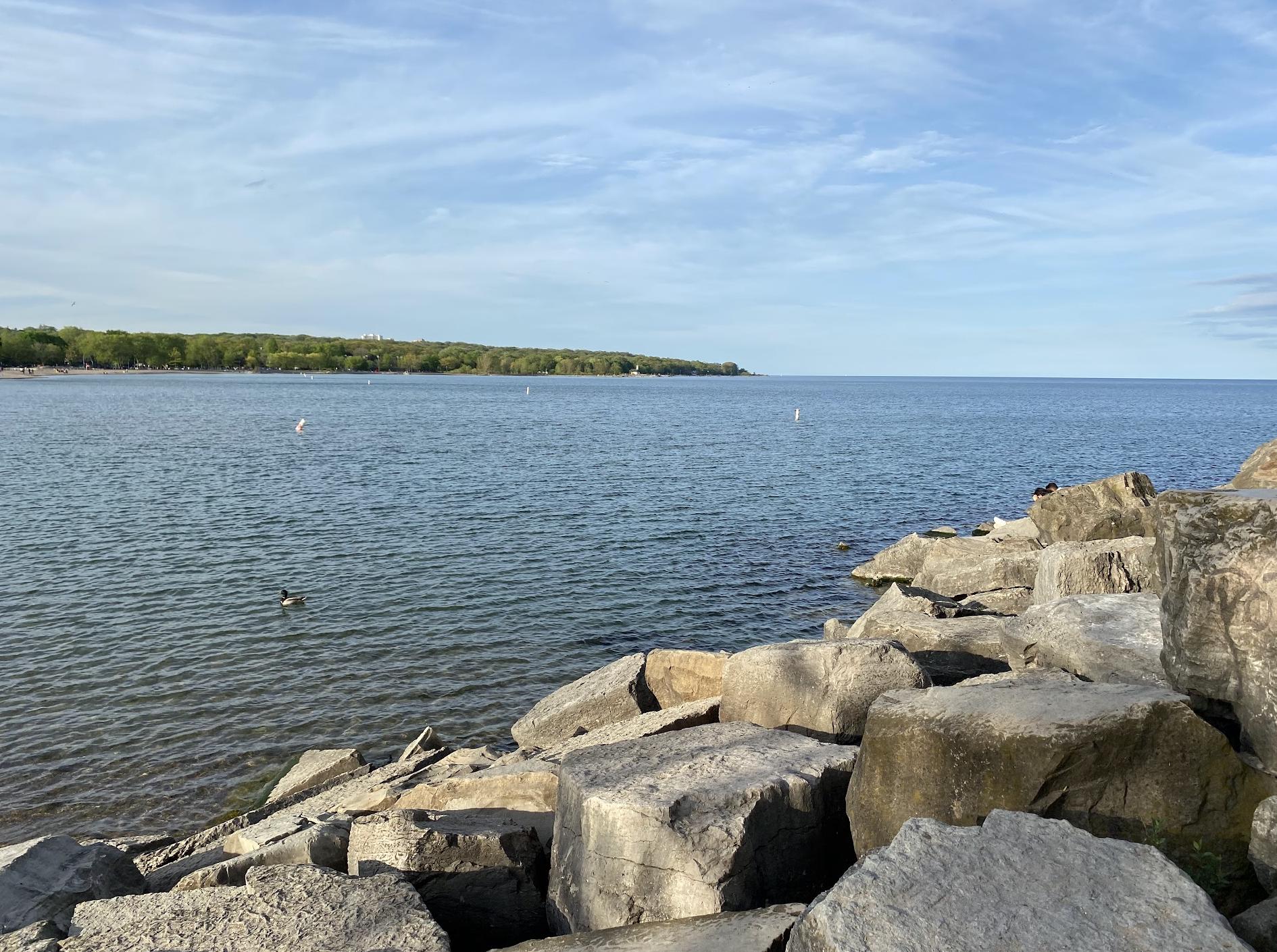 Woodbine Beach Parking