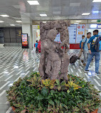 Indira Gandhi International Airport