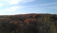 Greenbelt Nature Center