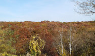 Greenbelt Nature Center