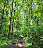 Greenbelt Nature Center