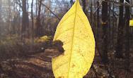 Greenbelt Nature Center