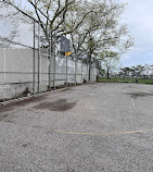 Basketball court