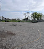 Basketball court