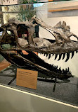 BYU Museum of Paleontology