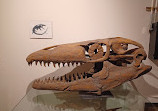 BYU Museum of Paleontology