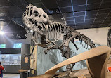 BYU Museum of Paleontology