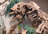 BYU Museum of Paleontology